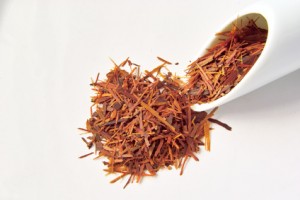 Lapacho Tee
